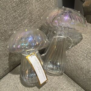 Cupcakes and cashmere mushroom set clear iridescent new with tags